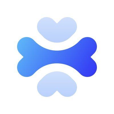 Apidog icon