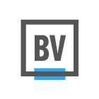 BrandVerity icon