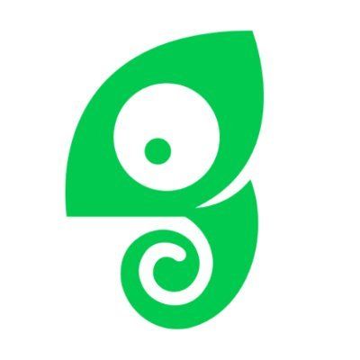 Chameleon icon
