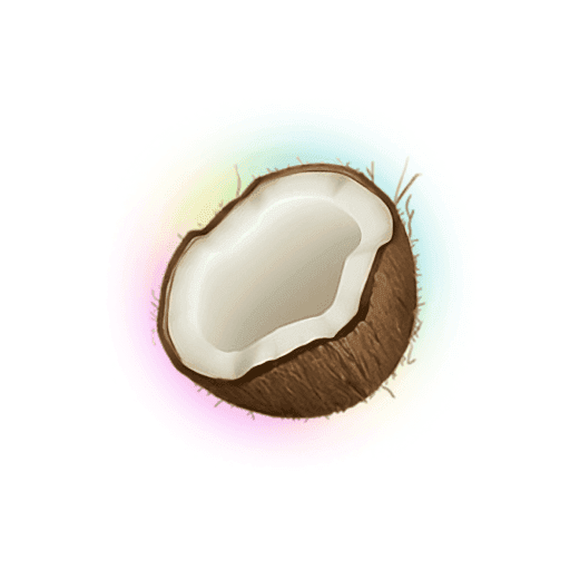 Coconote icon