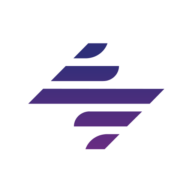 DealerSocket.com icon