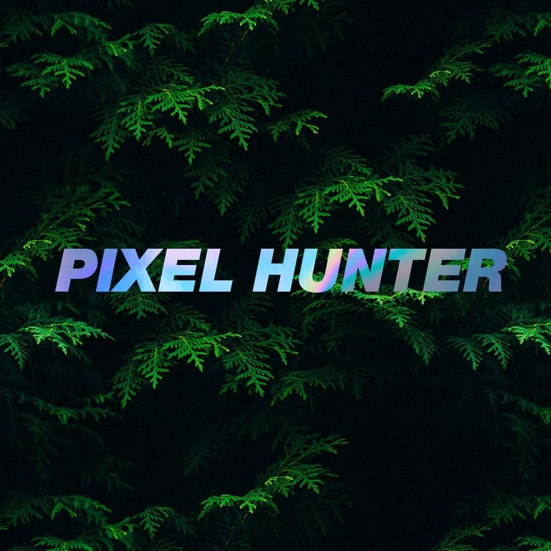 Pixelhunter icon