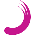 Planisware icon
