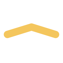 POINT icon