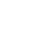 Vidulum icon