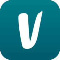 Vinted icon