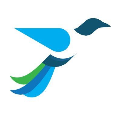 WealthFluent icon